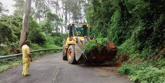 Ecological Road