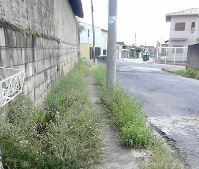 rua das hortemncias - antes