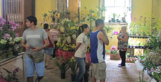 feira-orquideas