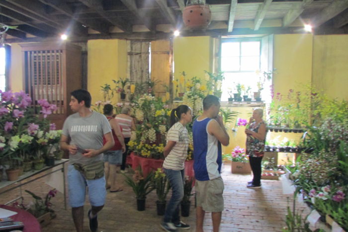 feira-orquideas