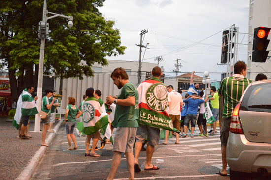 palmeiras