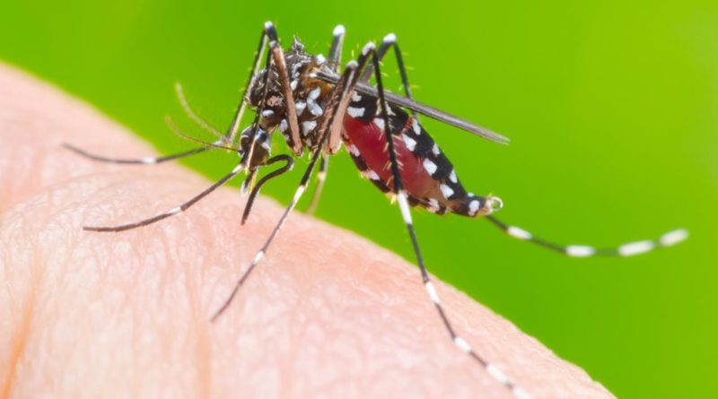 Secretaria de Saúde de Itu confirma mais dois óbitos por dengue