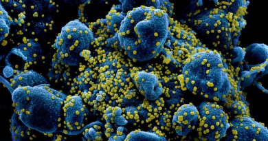 Itu se aproxima dos mil casos de coronavírus e tem 46 óbitos Itu se aproxima dos mil casos de coronavírus e tem 46 óbitos
