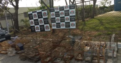 Polícia Civil e GCM localizam animais silvestres em cativeiro Polícia Civil e GCM localizam animais silvestres em cativeiro