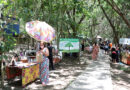 Feira EcoArt especial “Dia das Mães” ocorre neste domingo no Parque Taboão