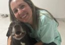 Bem-estar animal: veterinária aposta em terapias alternativas para pets