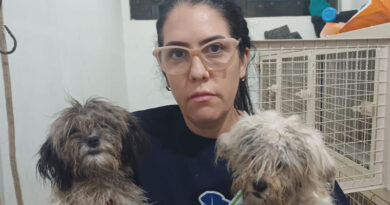 Força-tarefa resgata cães em situação de abandono e maus-tratos em Itu
