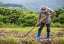 Sindicato Rural oferece cursos gratuitos para moradores de Itu e região neste mês