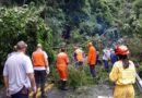 Defesa Civil desbloqueia Estrada Parque após deslizamento