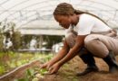 “Mulheres, Descubram-se no Campo” estará nesta quinta-feira em Cabreúva